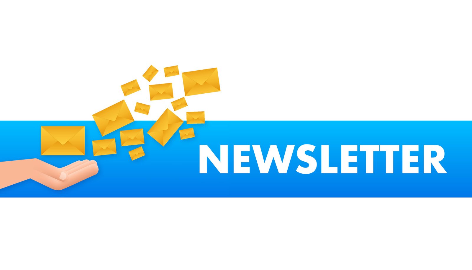 HLS Newsletter System